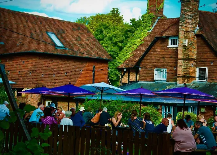 The Dolphin Inn