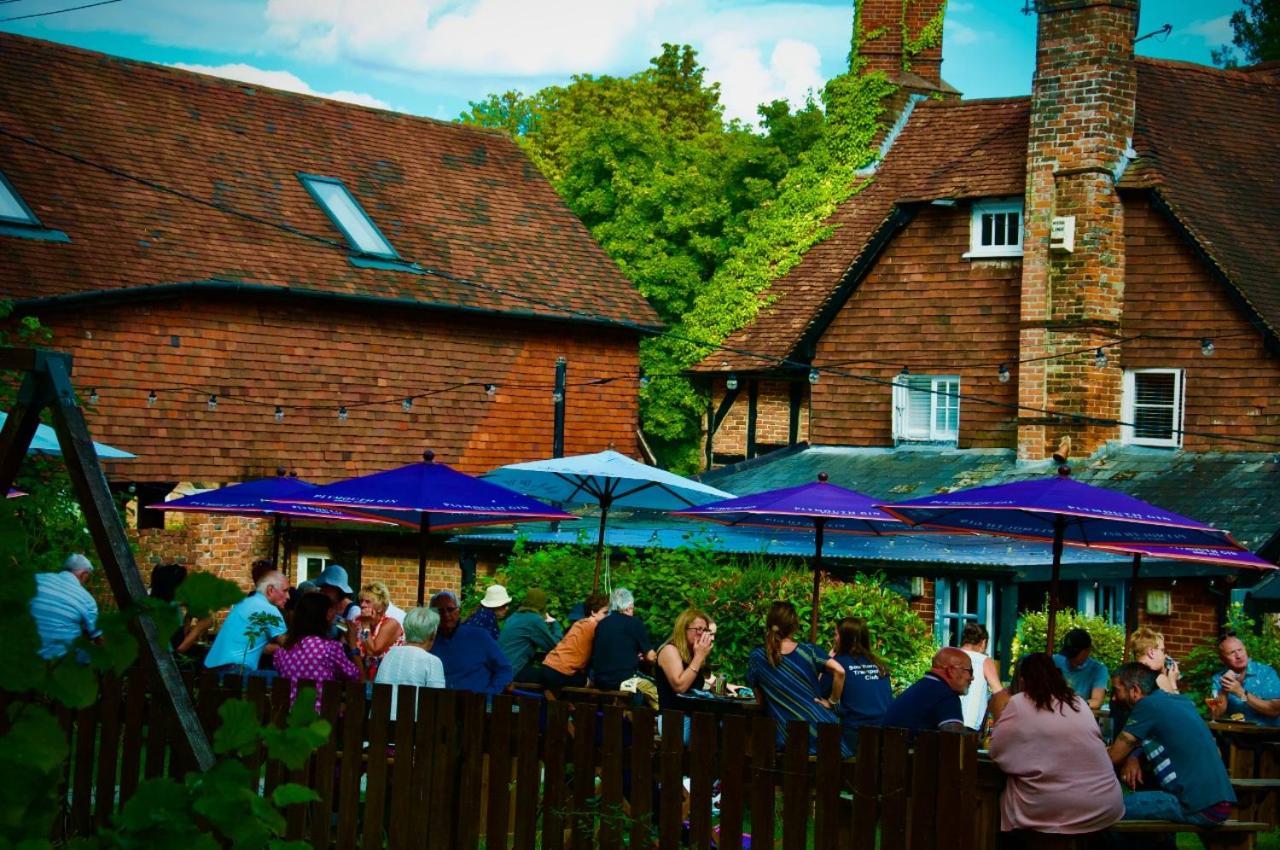 The Dolphin Winchester