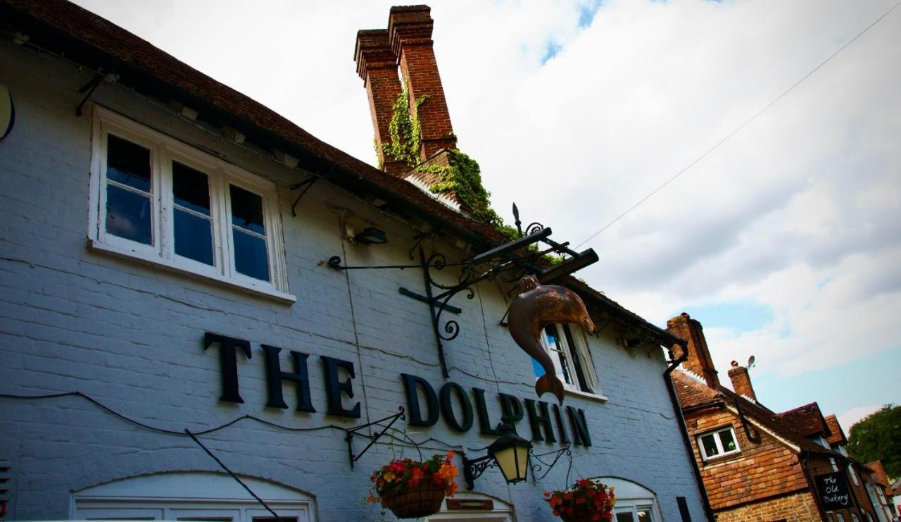 The Dolphin